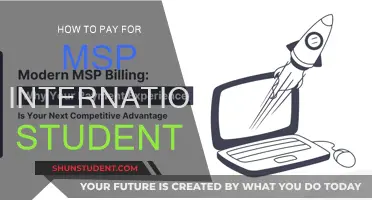 Funding Your MSP Degree: International Student Guide