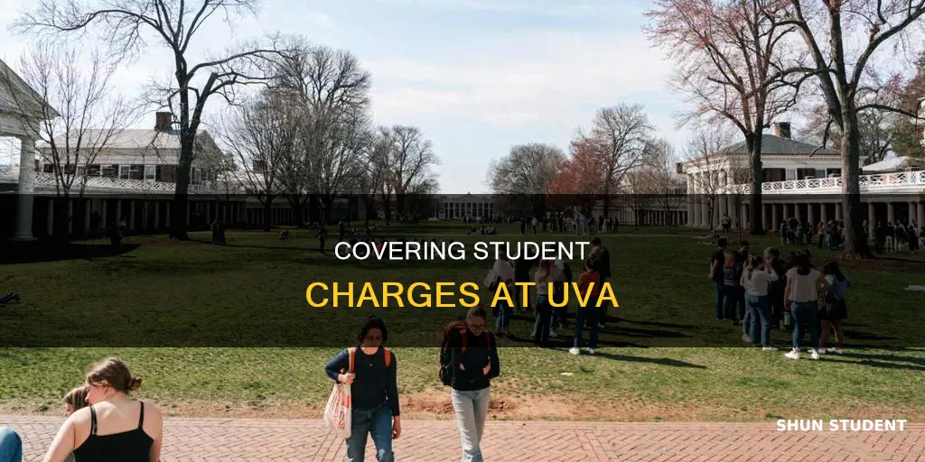 how to pay for student charge uva