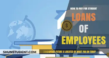 Smart Strategies for Funding Employee Student Loan Repayment
