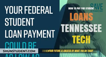 Tennessee Tech Student Loans: Repayment Strategies