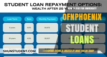 University of Phoenix Student Loans: Repayment Strategies