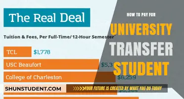 Transfer Student? Here's How to Pay for University