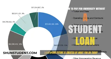 Funding University Without Debt: Alternative Ways to Pay
