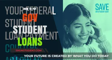 Student Loan Payment Guide: Repaying Government Loans