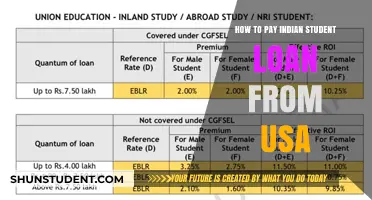 Repaying Indian Student Loans from the USA