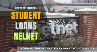 Student Loan Payment Strategies for Nelnet Borrowers