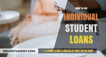 Student Loan Payment Strategies: Individual Plans
