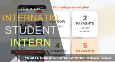 Paying International Student Interns: A Guide for Employers