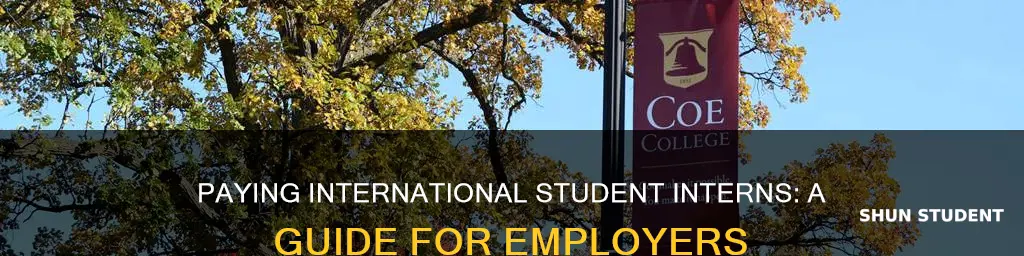 how to pay international student intern