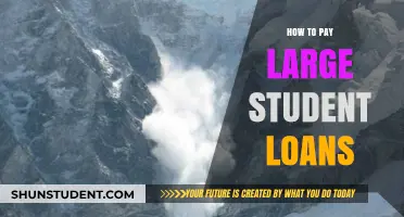 Strategies to Repay Large Student Loans