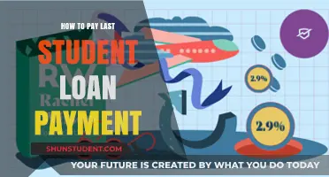 Strategies for Paying Off Your Final Student Loan Payment