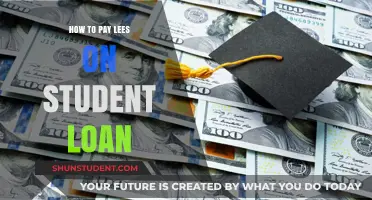 Strategies to Reduce Student Loan Payments