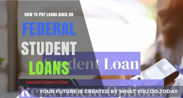 Strategies for Paying Off Federal Student Loans