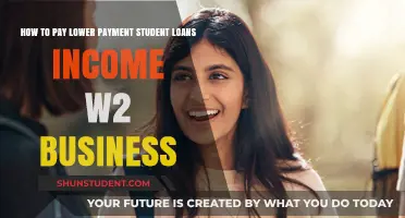 Lower Student Loan Payments: W-2 and Business Income Strategies