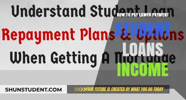 Lower Student Loan Payments with Income-Driven Plans