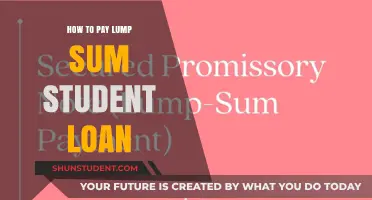 Student Loan Strategies: Paying Off in One Go