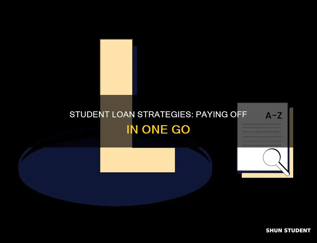 how to pay lump sum student loan