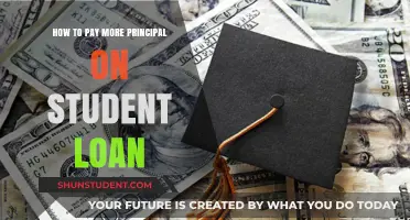 Strategies to Reduce Student Loan Principal Faster