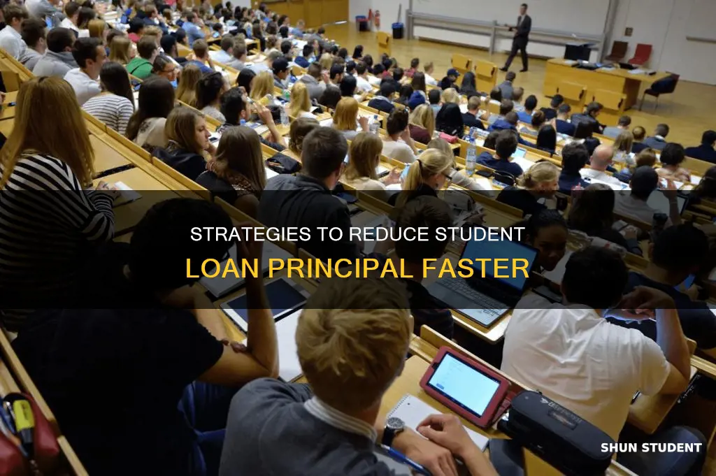 how to pay more principal on student loan