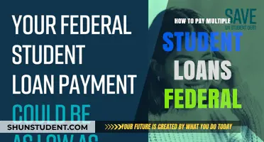 Student Loan Strategies: Paying Off Multiple Federal Loans