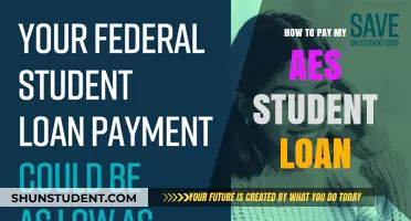 Navigating AES Student Loan Payment Options