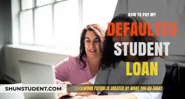 Strategies to Pay Off Defaulted Student Loans