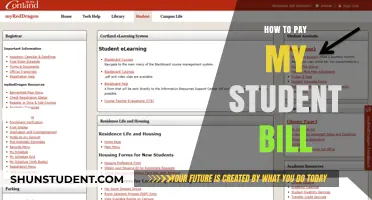 Student Bill Payment: Easy Steps to Follow
