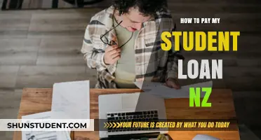 Student Loan Repayment Guide for New Zealanders