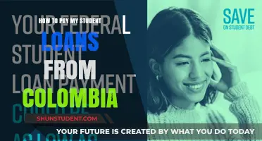 Student Loans: Repayment Strategies for Expats in Colombia