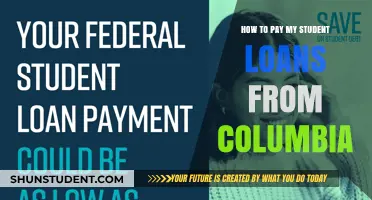 Strategies to Repay Columbia Student Loans