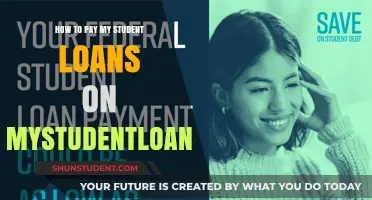 Student Loans: Repayment Strategies for Borrowers