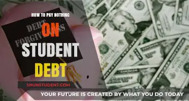 Erase Student Debt: Strategies to Pay Nothing