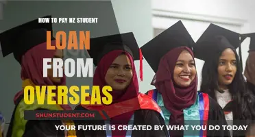 Repaying Student Loans While Abroad: A Guide for Kiwis