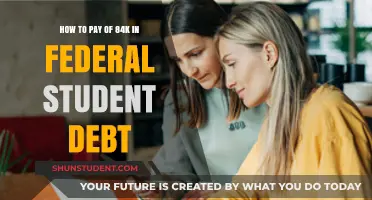 Strategies to Eradicate Student Debt