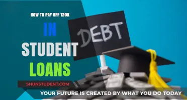 Eradicating Six-Figure Student Debt: Strategies for Freedom