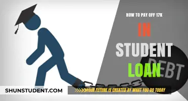 Eradicating Student Debt: Strategies to Overcome a $17K Loan