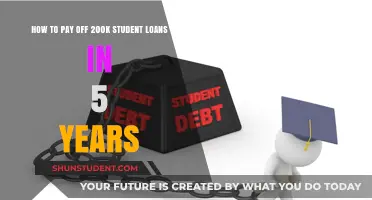 Crushing $200K Student Debt: A 5-Year Plan