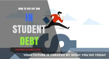 Strategies to Eradicate Student Debt: 20K and Beyond