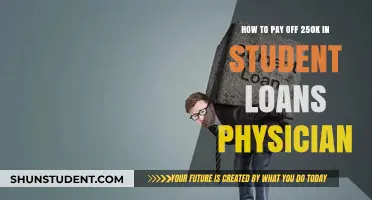 Physicians: Strategies to Repay Your 250K Student Loan