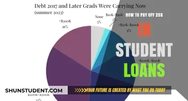 Eradicating Student Debt: Strategies to Repay $25K Loans