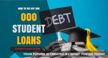 Student Debt: Strategies to Repay $300K Loans