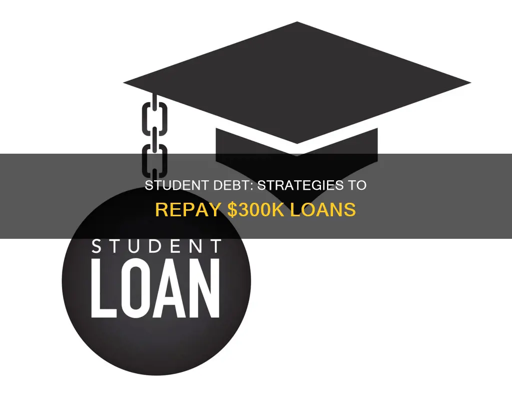 how to pay off 300 000 student loans