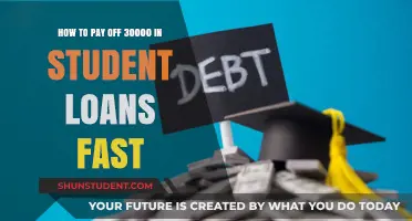 Eradicating $30,000 in Student Loans: Strategies for Quick Repayment