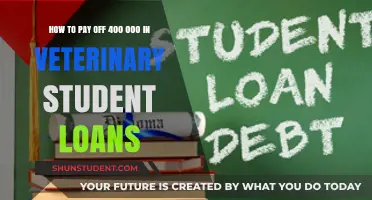 Veterinary Student Loans: Strategies to Repay $400,000 Debt