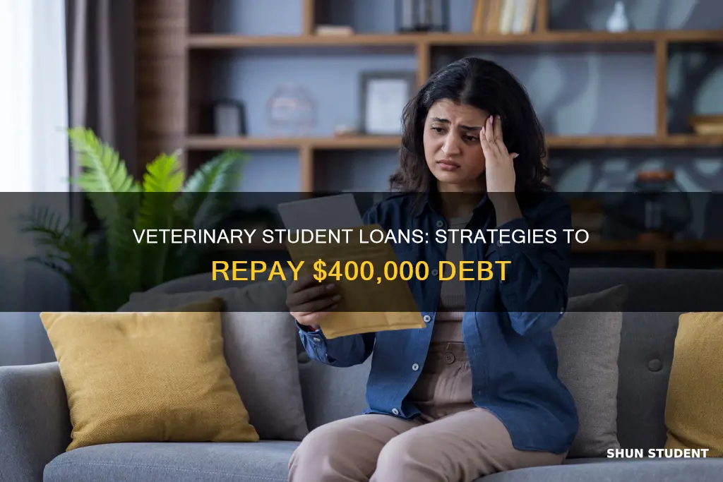 how to pay off 400 000 in veterinary student loans