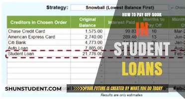 Strategies for Repaying Massive Student Loans