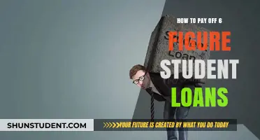 Strategies to Eradicate Six-Figure Student Debt