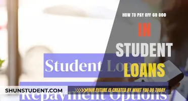 Student Loan Freedom: Strategies to Crush $60K Debt