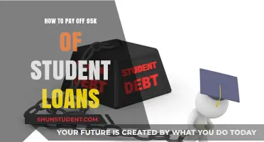 Strategies to Eradicate Massive Student Loan Debt