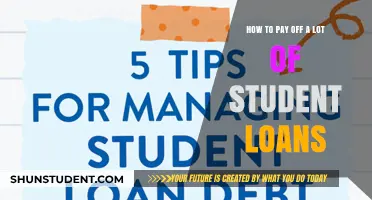 Strategies to Repay Student Loans Efficiently